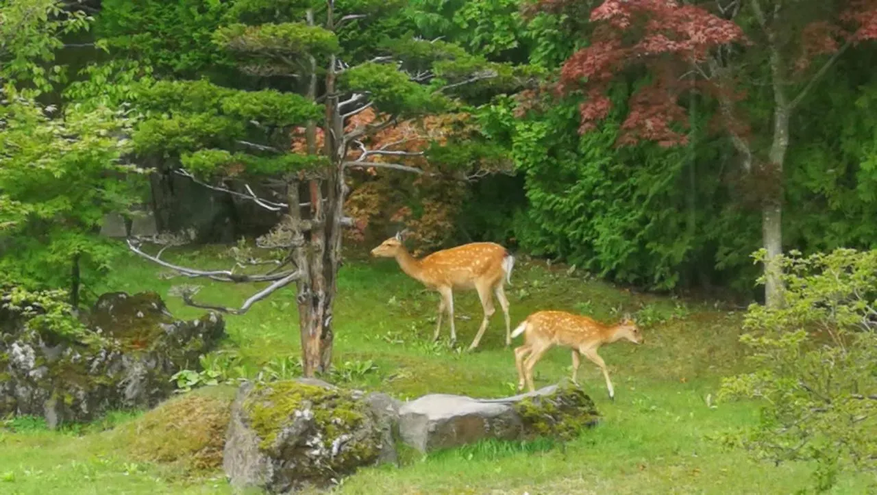 Senougen Villa Sapporo Japan